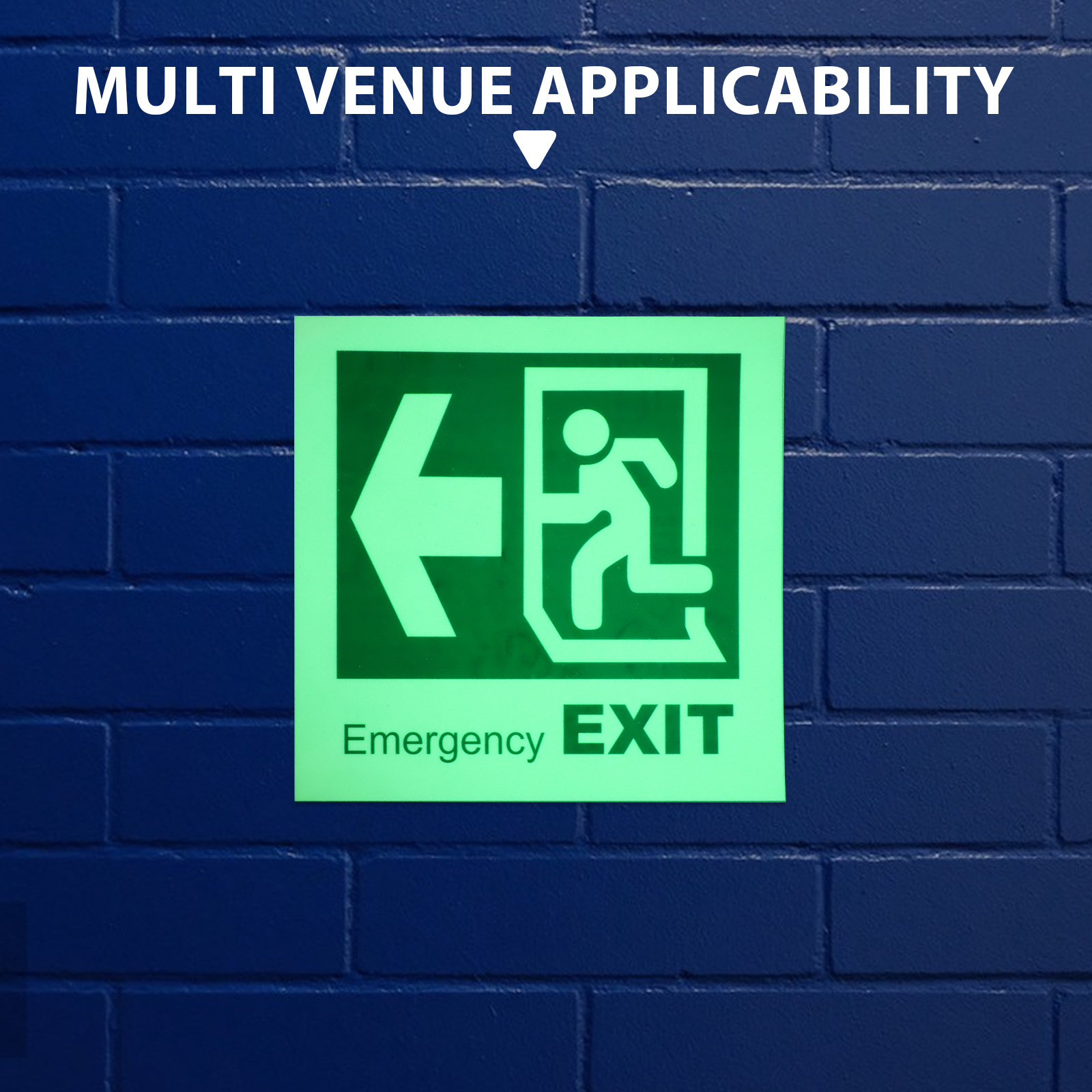 Self Adhesive Luminous Emergen - Emergency Exit Sign 评论和价格