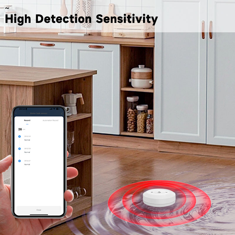 Tuya Zigbee2mqtt Water Immersi - Water Alarm Sensor 评论和价格