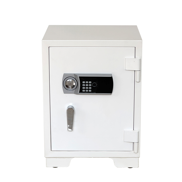 Bank Home Office Deposit Secur - Fire Safe Document 评论和价格